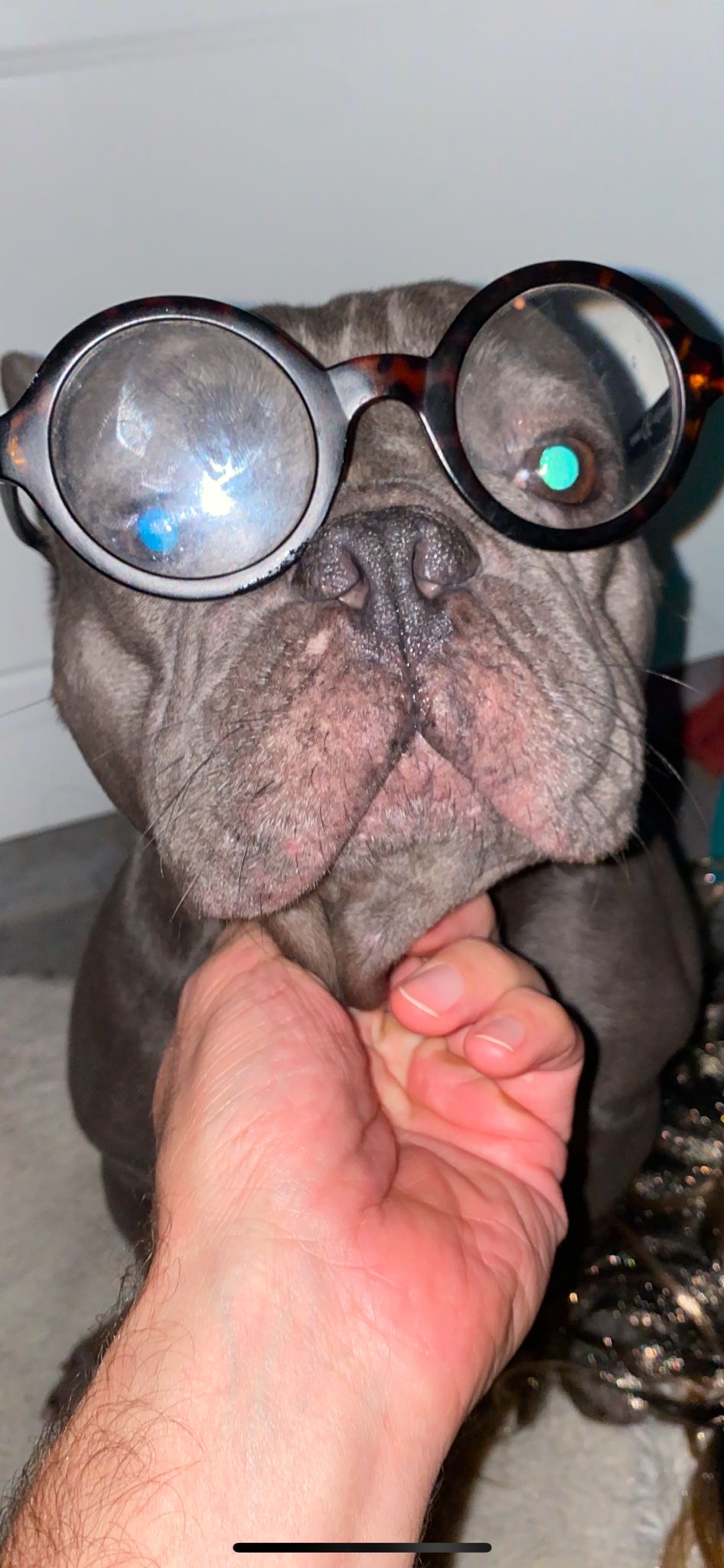 Palazzo, mascotte de Stephane-ASTRO